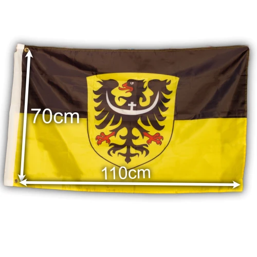 DŚ transparent.webp