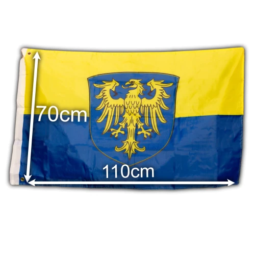 GŚ 110 transparent.webp
