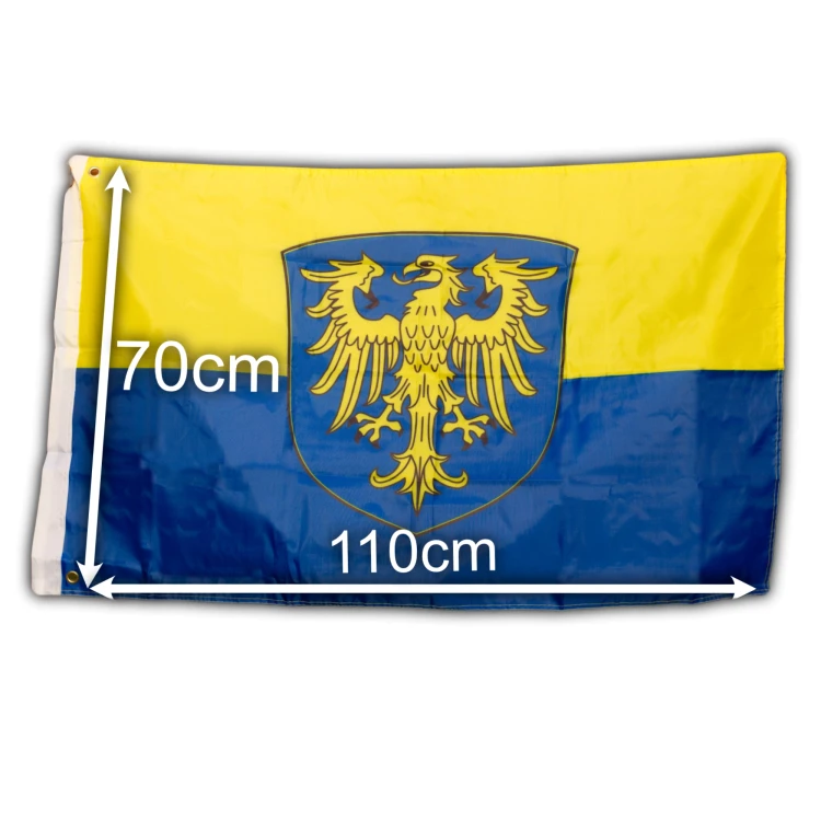GŚ 110 transparent.webp