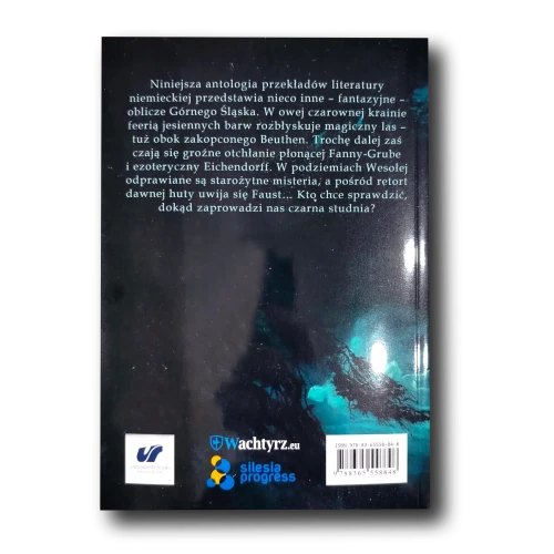 Studnia 2.webp