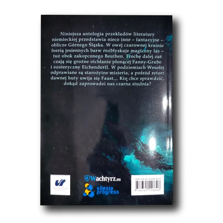 Studnia 2.webp